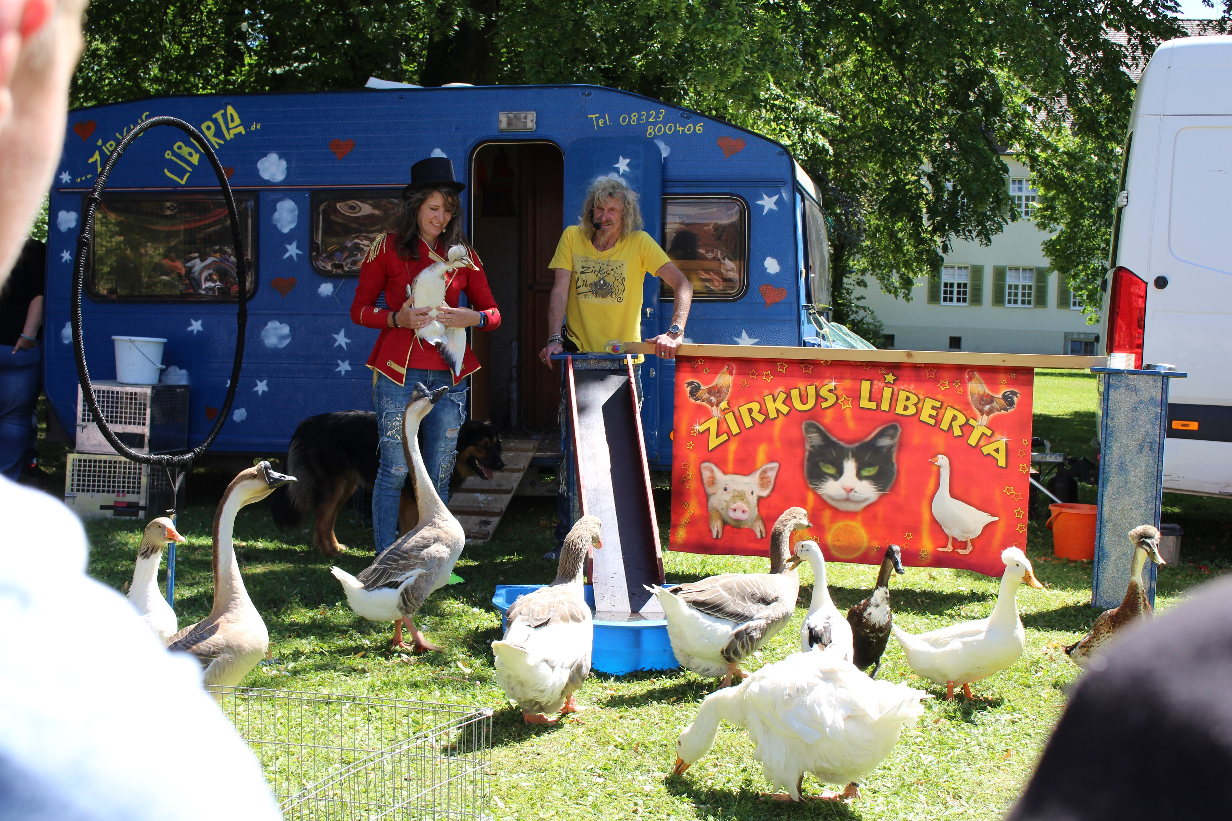 Tierisches Sommerfest für Patienten und Bewohner des BKH Günzburg