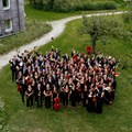 Die Musikerinnen und Musiker des Schwäbischen Jugendsinfonieorchesters (sjso) freuen sich auf neue Gesichter. - Foto: Michael Richter