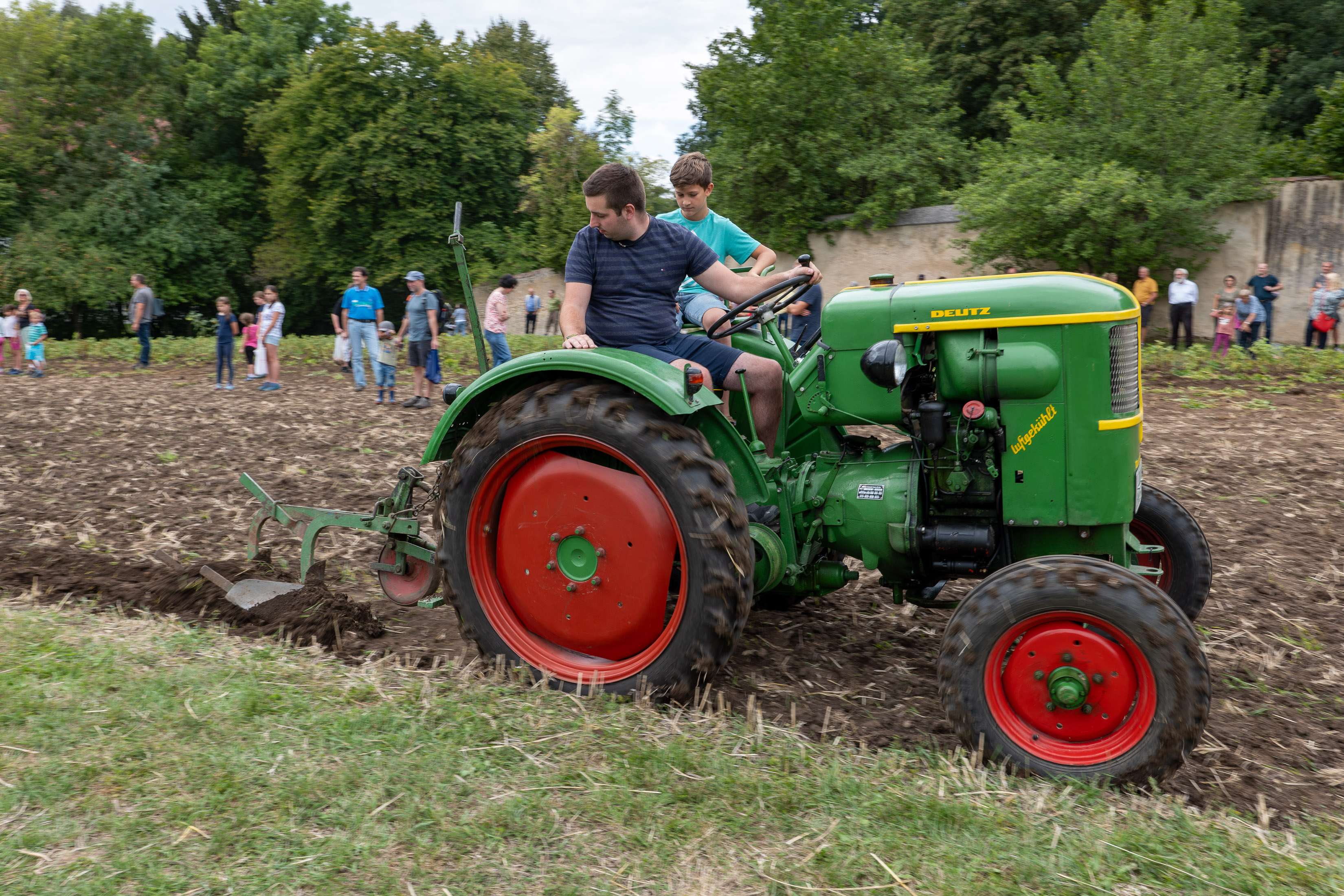 Ein Höhepunkt des Festes ist das Kartoffelroden und -klauben auf dem Museumsfeld - Foto: Matthias Meyer, Museum KulturLand Ries