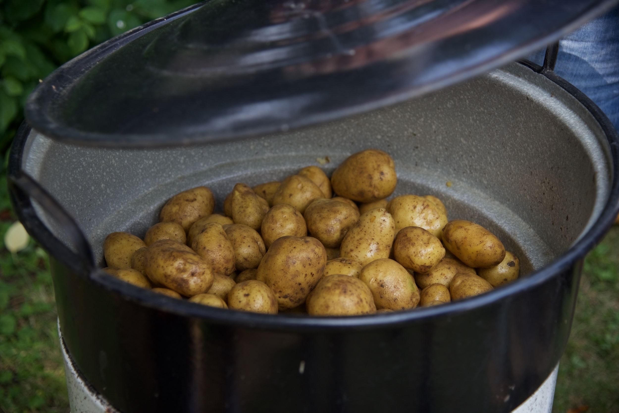 Zum Fest gibt es vielfältige Spezialitäten wie Pellkartoffeln aus dem Dämpfer - Foto: Bruno Langner