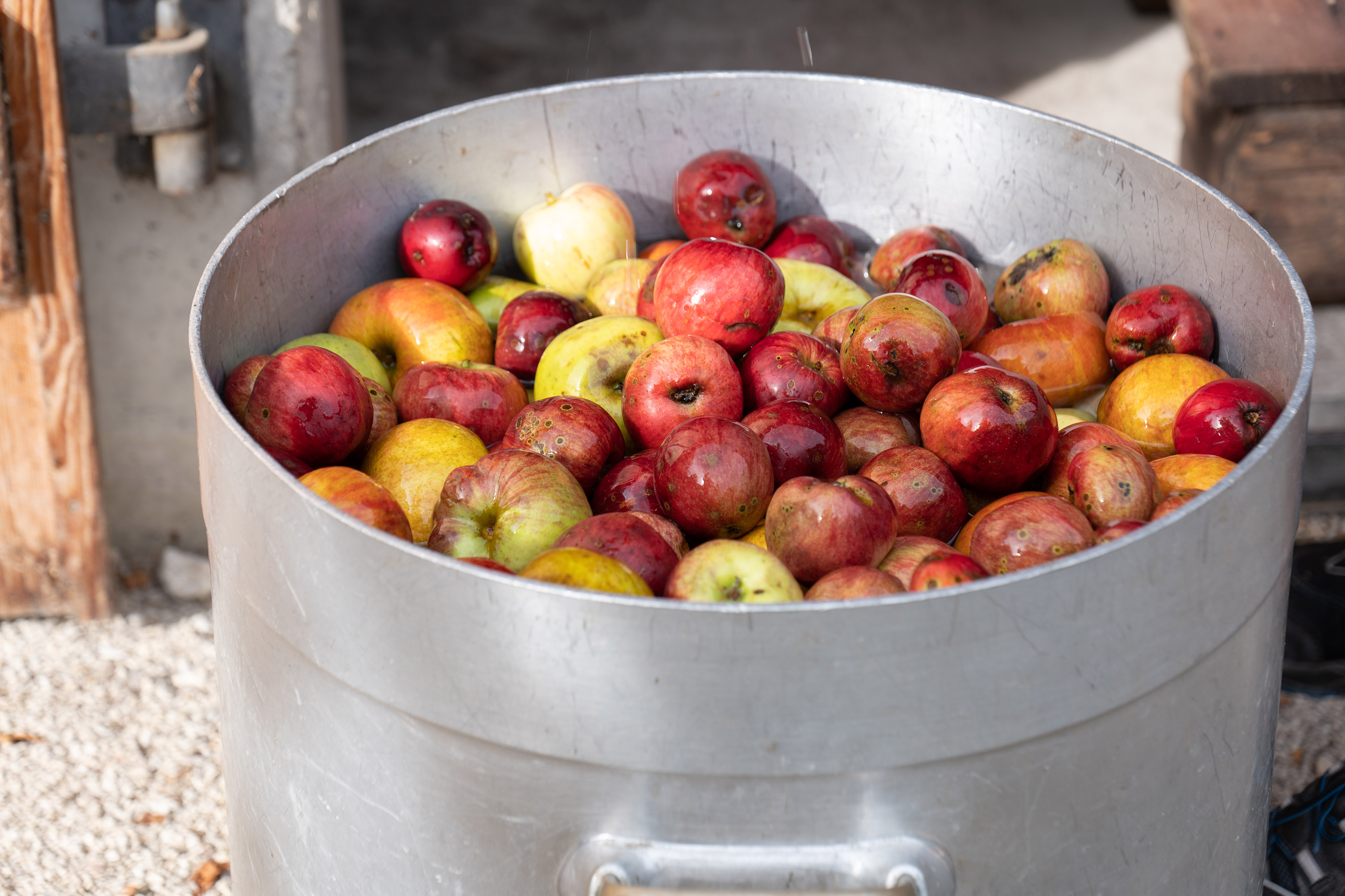 Äpfel im Waschzuber