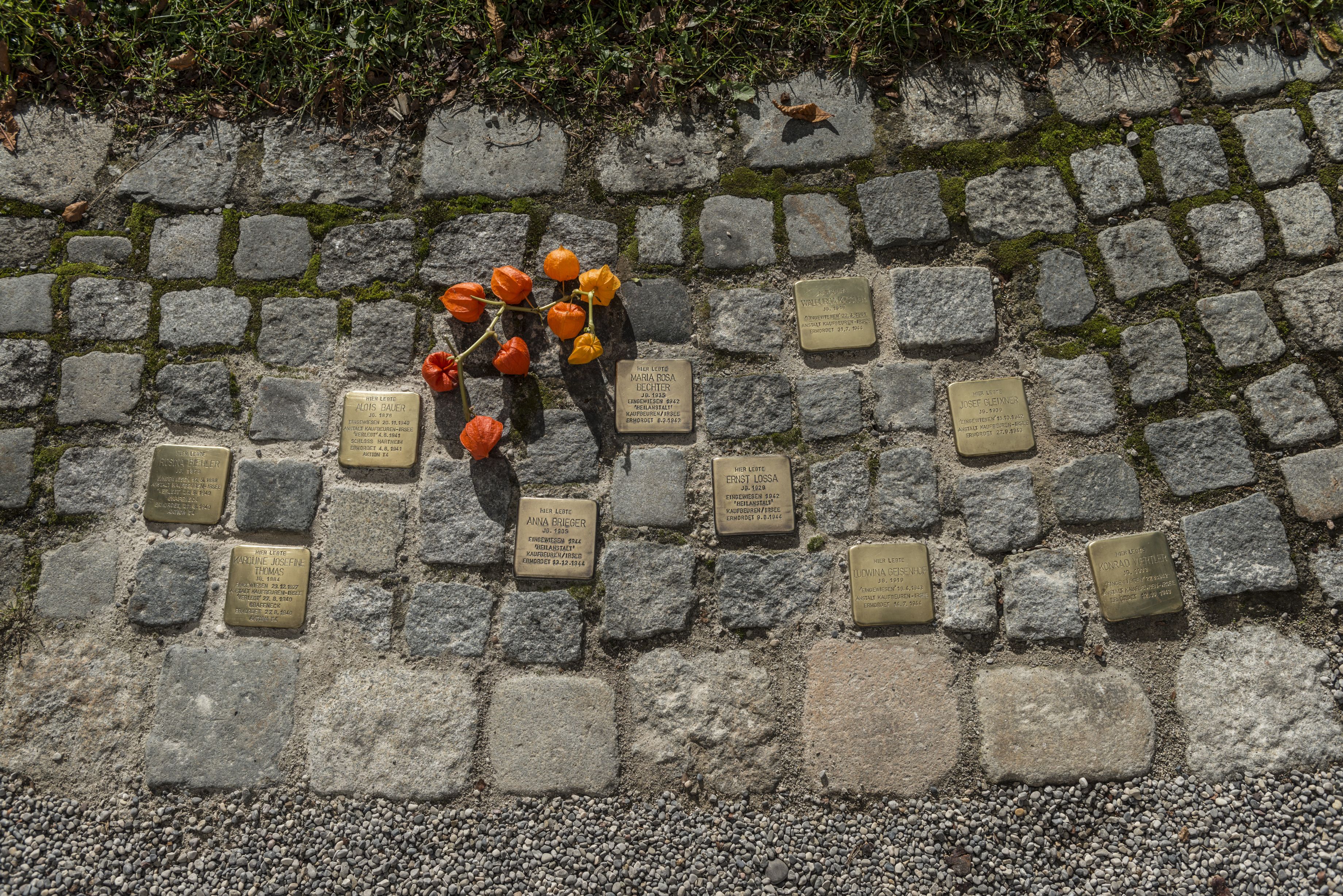 Stolpersteine zu Ehren der Opfer des NS-Patientenmorde vor Kloster Irsee - Foto: Achim Bunz