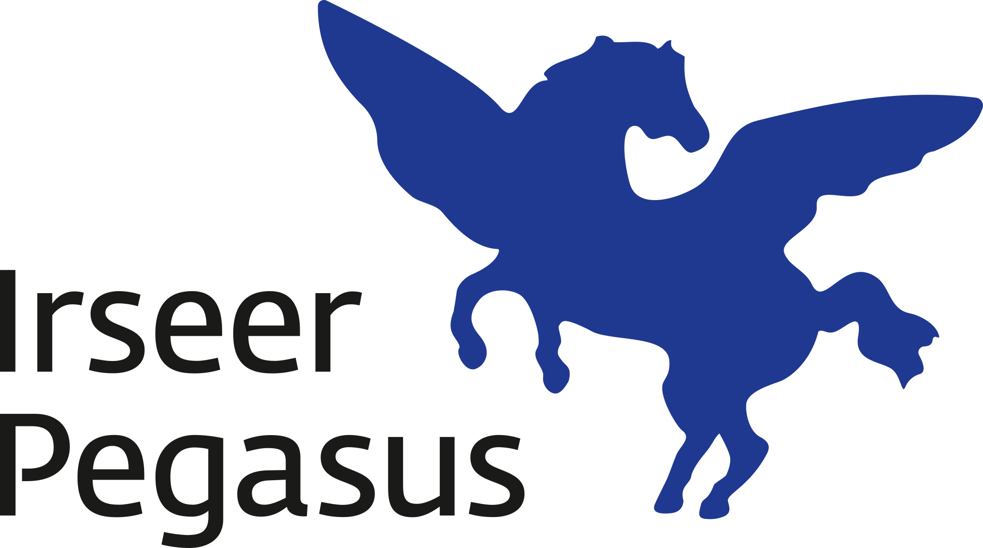 Logo Irseer Pegasus