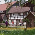 Der Bezirkstag tagte im Schwäbischen Bauernhofmuseum Illerbeuren - hier mit Blick auf das Woringer Häusle