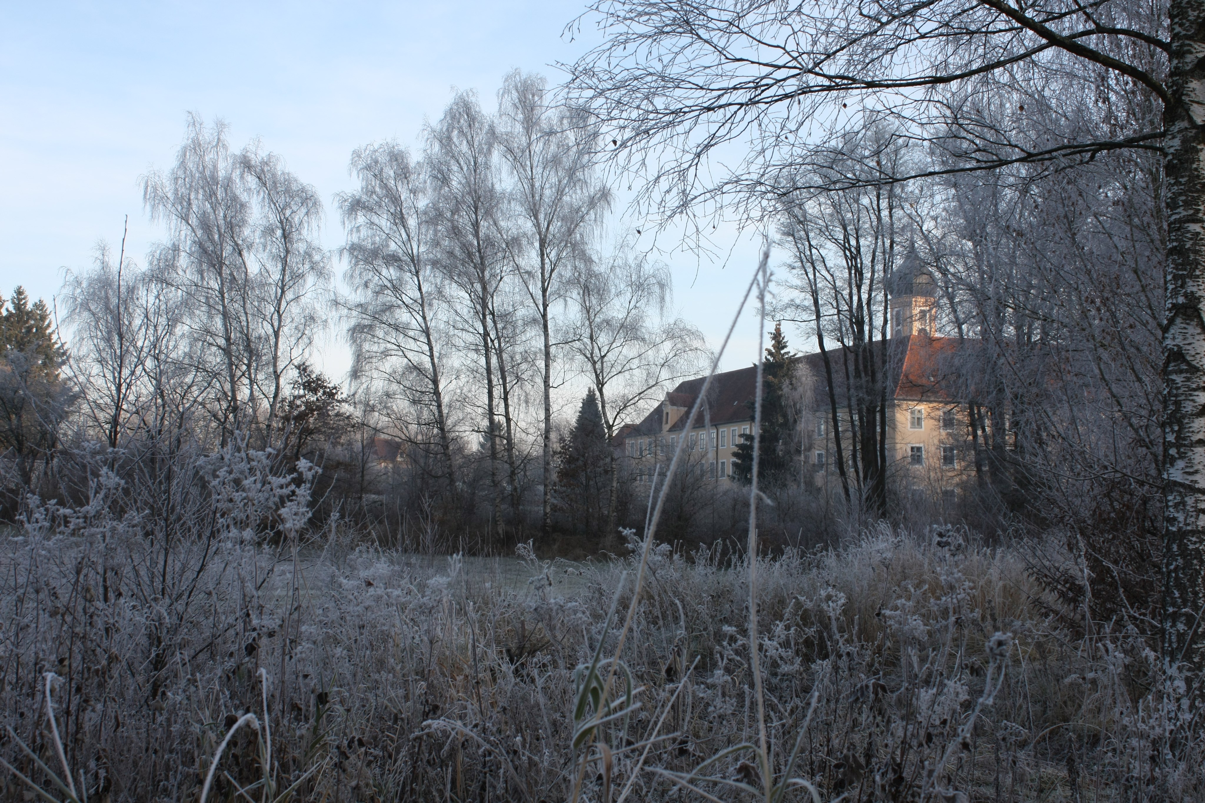 Von Raureif bedeckte Bäume und Pflanzen, im Hintergrund das Kloster Oberschönenfeld