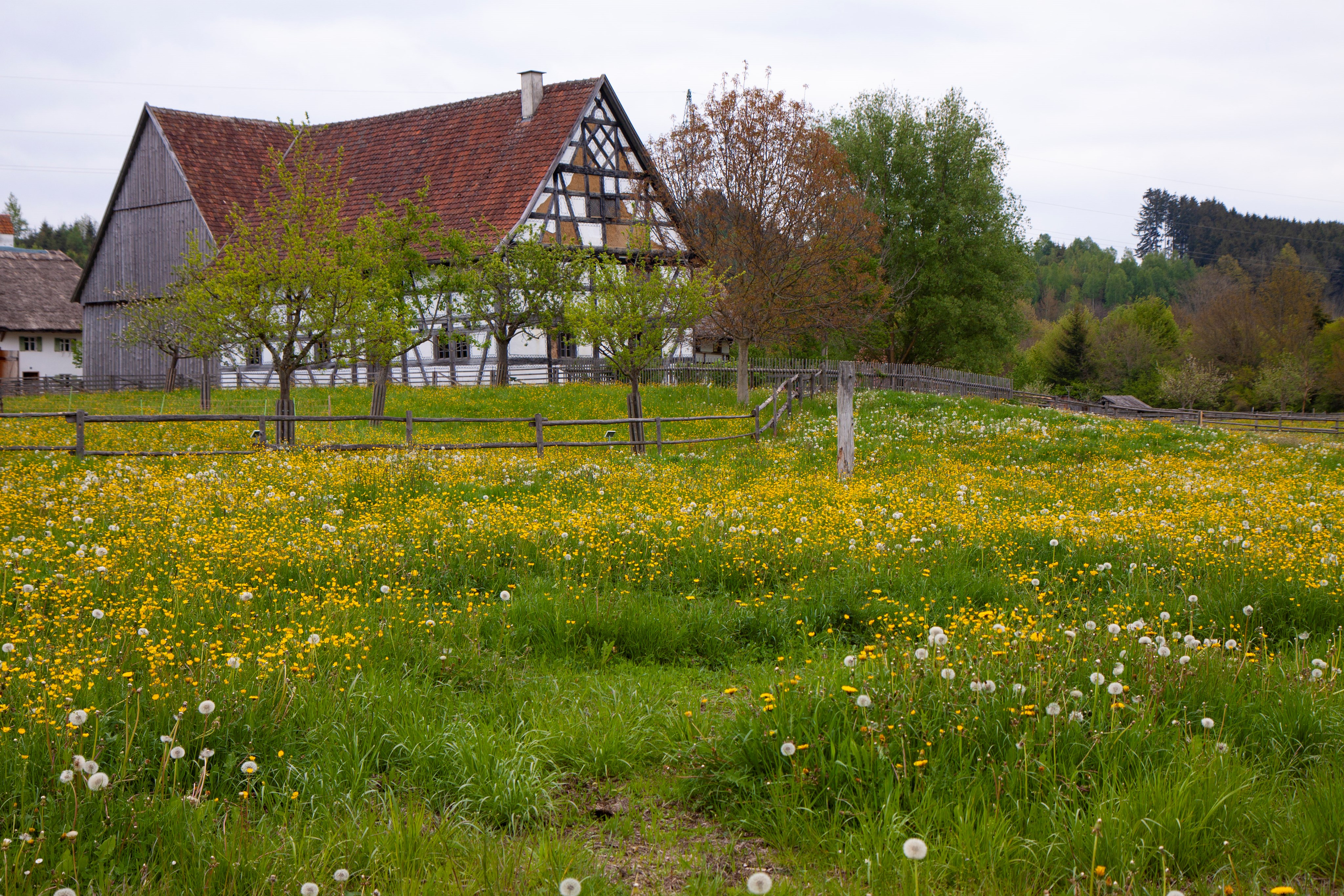 Außengelände des Schwäbischen Bauernhofmuseums Illerbeuren