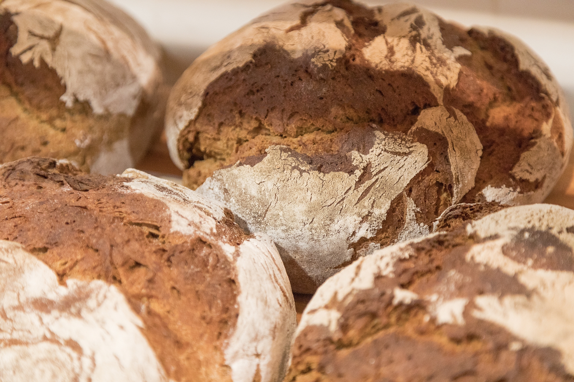 Hofladen-Brot auf dem GenussKulturMarkt im Museum Kulturland Ries