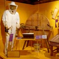 Ausstellung Bienen und Imker (2)
