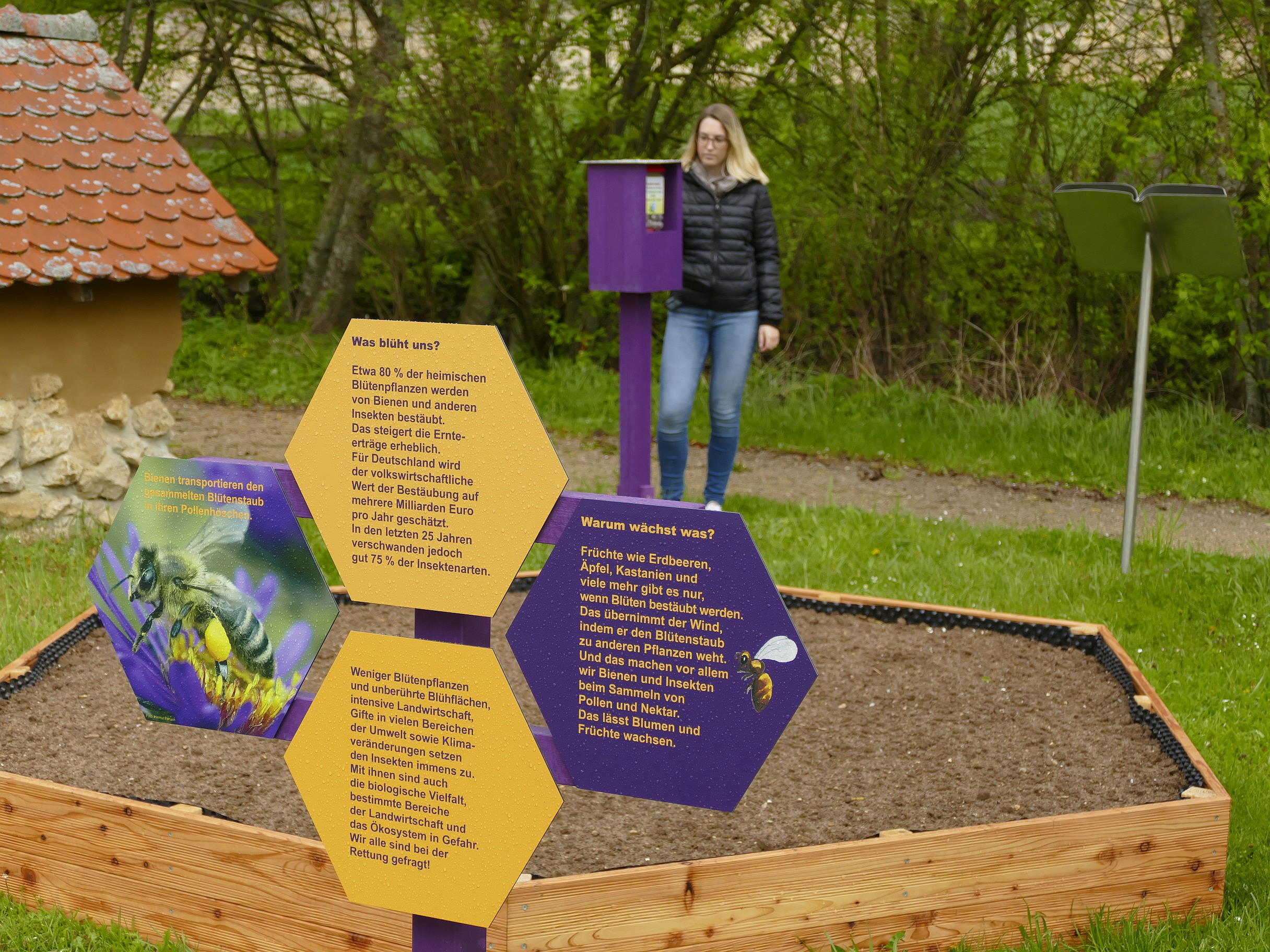 Die Volontärin des Museums KulturLand Ries am Bienengarten